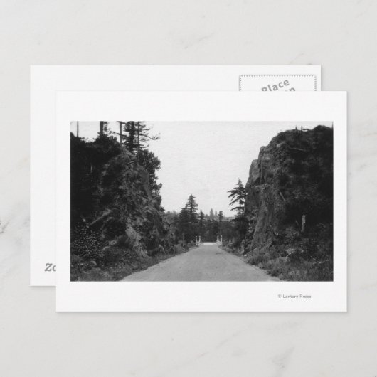 Stevenson Pass, WA Uitzicht North Bank Highway Briefkaart (Voorkant / Achterkant)