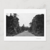 Stevenson Pass, WA Uitzicht North Bank Highway Briefkaart (Voorkant)