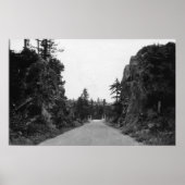 Stevenson Pass, WA Uitzicht North Bank Highway Poster (Voorkant)