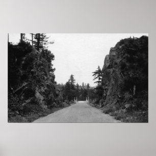 Stevenson Pass, WA Uitzicht North Bank Highway Poster