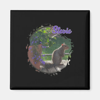 Stevie de eekhoorn magneet