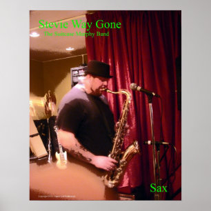 Stevie Ray Gone-Poster Poster