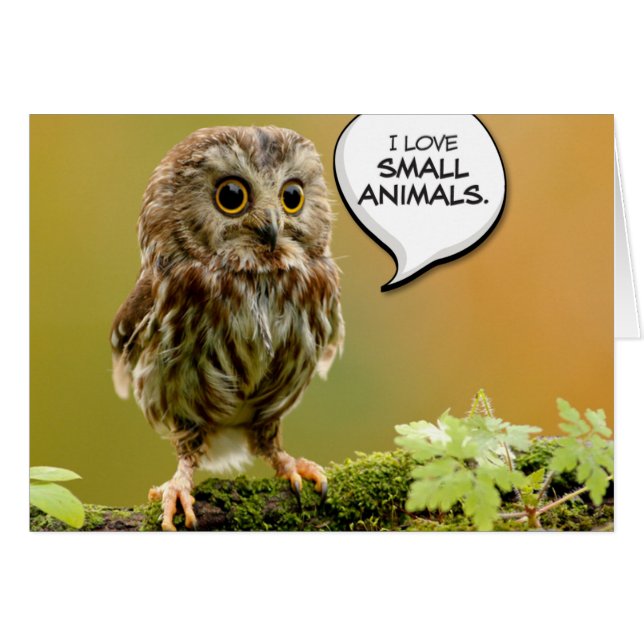 "Stevige Baby" Laten we uitlopen (Voorkant Horizontaal)