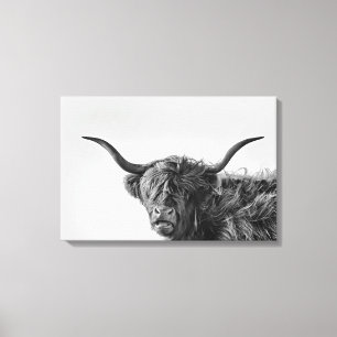 Stevige hooglandkoe in monochroom canvas afdruk