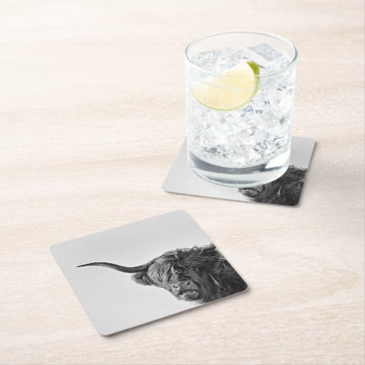 Stevige hooglandkoe in monochroom kartonnen onderzetters (Insitu)