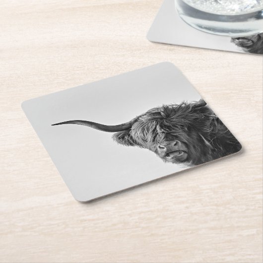Stevige hooglandkoe in monochroom kartonnen onderzetters (Schuin)