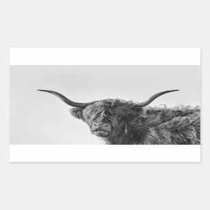 Stevige hooglandkoe in monochroom rechthoekige sticker