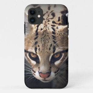 Stevige iPhone 5 Hoes
