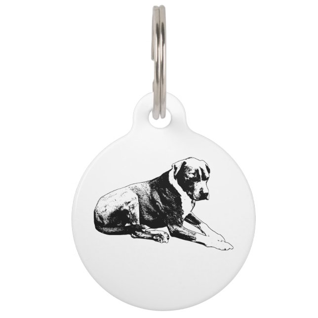 Stevige Lean, Veilige Tag Huisdierpenning (Voorkant)