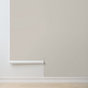 Stevige Lichte Taupe Duidelijke Eenvoudige Neutral Behang
