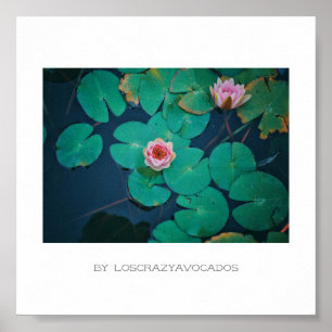 Stevige roze Planten Poster van Lily Flowers