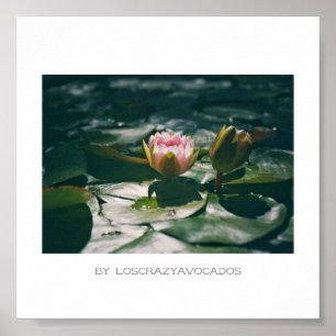 Stevige roze Planten Poster van Lily Flowers