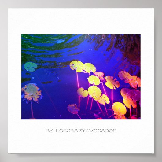 Stevige roze Planten Poster van Lily Flowers (Voorkant)