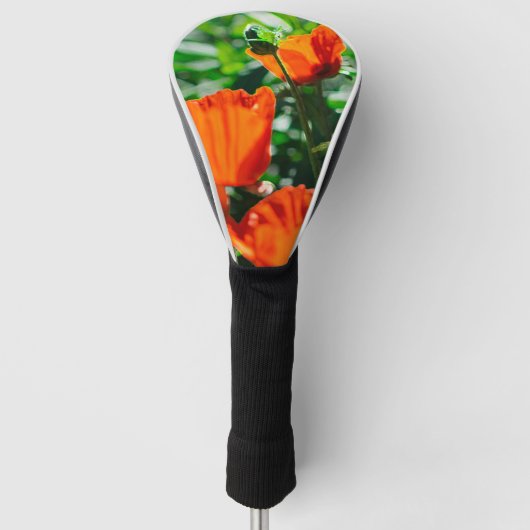 Stevige tuinrode Oranje papaverbloemen Golfheadcover (Voorkant)