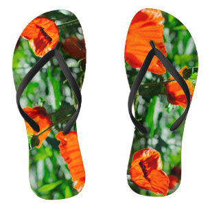 Stevige tuinrode Oranje papaverbloemen Teenslippers