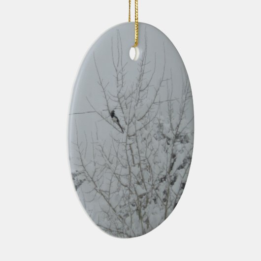 Stevige vogels steken het uit Ornament (Rechts)