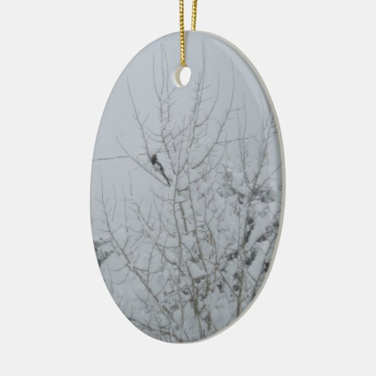 Stevige vogels steken het uit Ornament (Links)