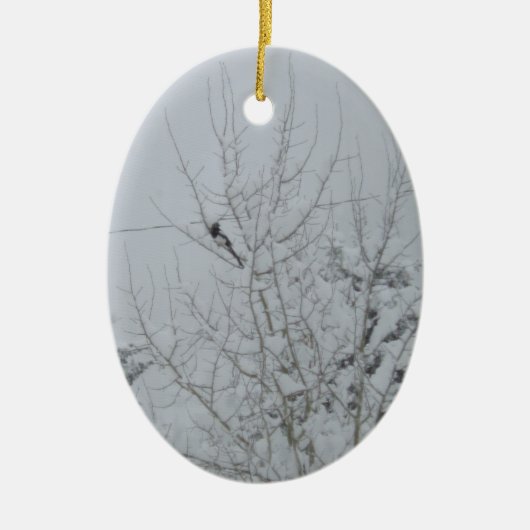 Stevige vogels steken het uit Ornament (Voorkant)