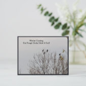 Stevige vogels trekken het Briefkaart uit (Staand voorkant)