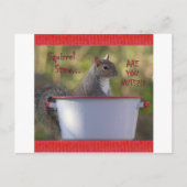 Stew... ZIJN JULLIE NOTEN?!? Briefkaart (Voorkant)