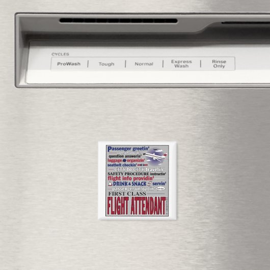 stewardmagneet magneet (Insitu (Vaatwasser))