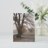 Stewart Park, meer van Cayuga Briefkaart (Staand voorkant)