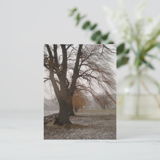 Stewart Park, meer van Cayuga Briefkaart (Staand voorkant)