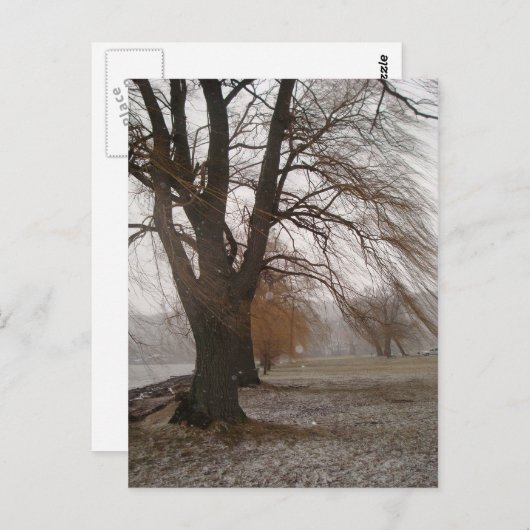 Stewart Park, meer van Cayuga Briefkaart (Voorkant / Achterkant)