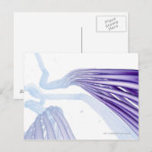 Steylideenvezels Briefkaart (Voorkant / Achterkant)