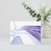 Steylideenvezels Briefkaart (Staand voorkant)