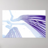 Steylideenvezels Poster (Voorkant)