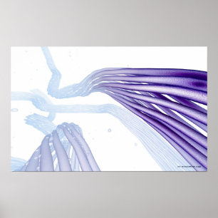 Steylideenvezels Poster