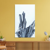 Stibnietkristallen, de belangrijkste erts van Anti Canvas Afdruk (Insitu (Woonkamer))