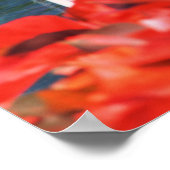 STICHTING IN ST SHAW'S GARDEN POSTER (Hoek)