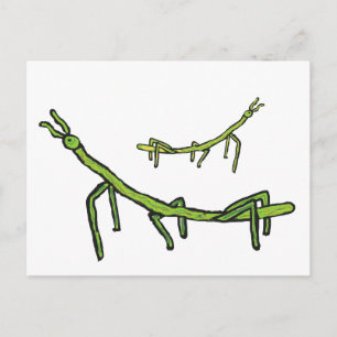 Stick Bug Insect Briefkaart