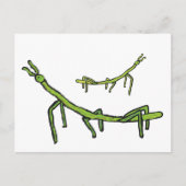 Stick Bug Insect Briefkaart (Voorkant)