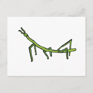 Stick Bug Insect Briefkaart