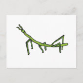 Stick Bug Insect Briefkaart (Voorkant)
