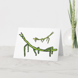 Stick Bug Insect Kaart