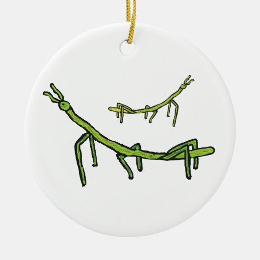 Stick Bug Insect Keramisch Ornament (Voorkant)