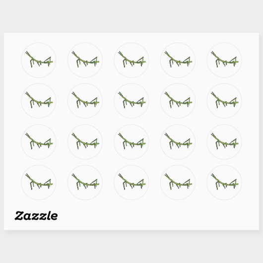Stick Bug Insect Ronde Sticker (Vel)