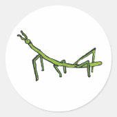 Stick Bug Insect Ronde Sticker (Voorkant)