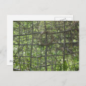 Stick Fence Briefkaart (Voorkant / Achterkant)