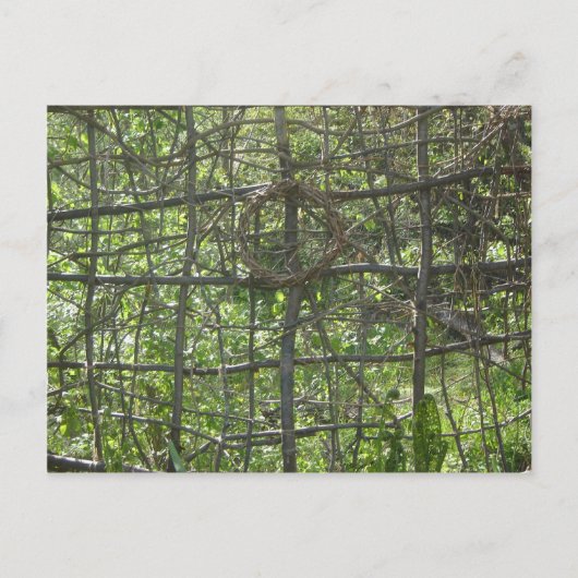 Stick Fence Briefkaart (Voorkant)