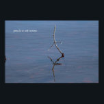 Stick in the water poster<br><div class="desc">Funny stick in the water</div>