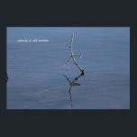 Stick in the water poster<br><div class="desc">Funny stick in the water</div>