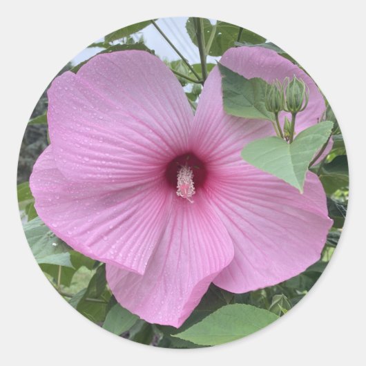 STICK IT - DE KRACHT VAN HET ROZE RONDE STICKER (Voorkant)