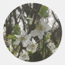 STICK IT - ZUIVERHEID VAN HOOP RONDE STICKER