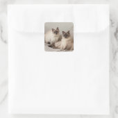 Sticker (Tas)