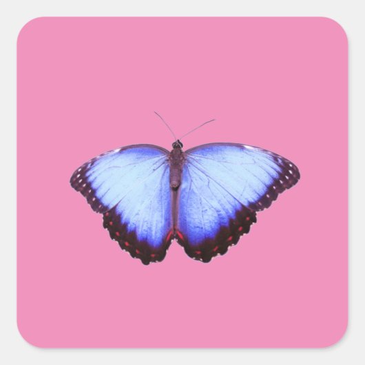 Sticker (Voorkant)